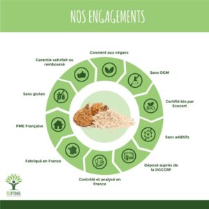 Maca bio poudre – Image 2