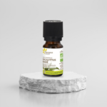 Huile essentielle d'Eucalyptus radié Bio