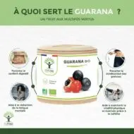 Gélules Guarana bio – Image 2