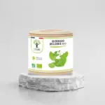 Ginkgo Biloba bio 60 gélules