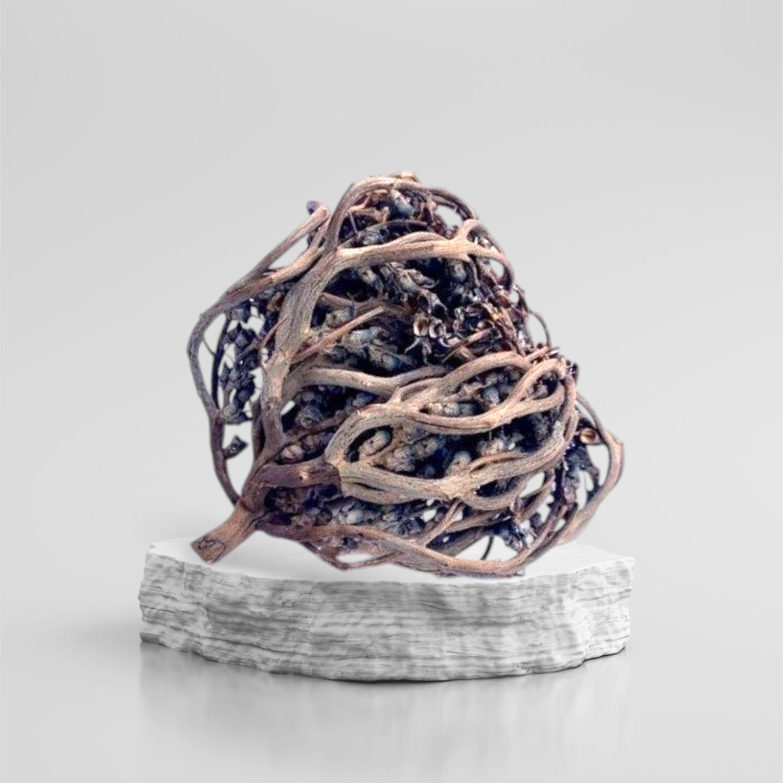 1000088727.png Rose de Jericho (Shajarat Maryam) 20g - 100% Naturelle – Image 1