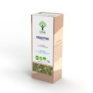 Tisane Eucalyptus Bio